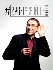Zygel Académie