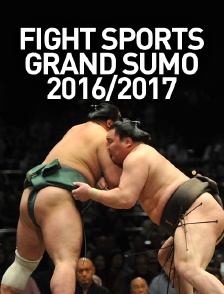 Fight Sports Grand Sumo