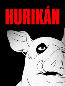 Hurikán