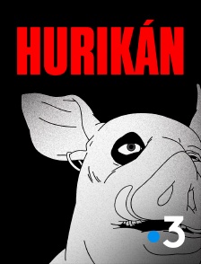 France 3 - Hurikán