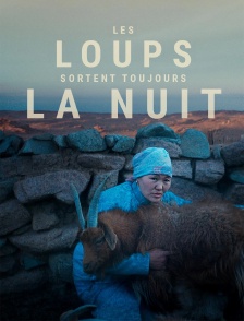 Les loups sortent toujours la nuit