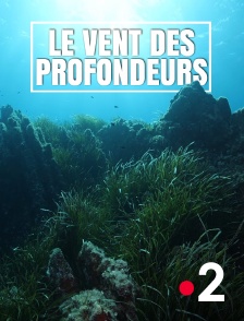 France 2 - Le vent des profondeurs