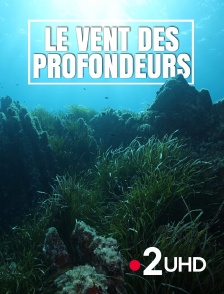 France 2 UHD - Le vent des profondeurs