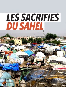 Mali, les sacrifiés du Sahel
