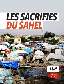 LCP Public Sénat - Mali, les sacrifiés du Sahel