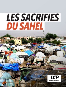 LCP 100% - Mali, les sacrifiés du Sahel