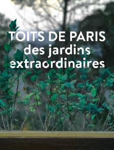 Toits de Paris, des jardins extraordinaires