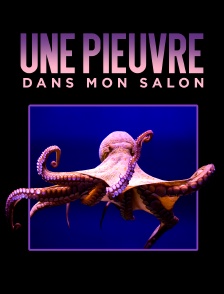 Une pieuvre dans mon salon
