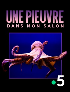 France 5 - Une pieuvre dans mon salon