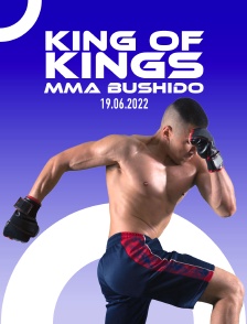 King Of Kings Mma Bushido 19.06.2022