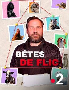 France 2 - Bêtes de flic