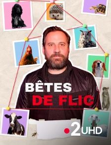 France 2 UHD - Bêtes de flic