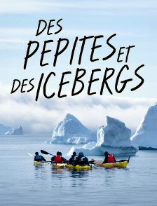 Des pépites et des icebergs