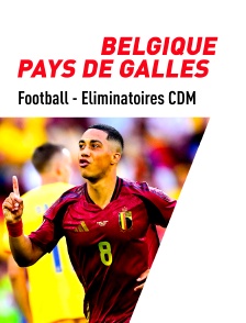 Football - Eliminatoires de la Coupe du Monde : Belgique / Pays de Galles