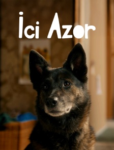 Ici Azor