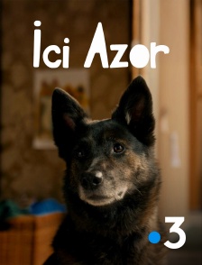 France 3 - Ici Azor