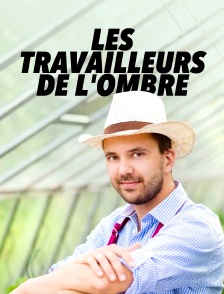 Les travailleurs de l'ombre