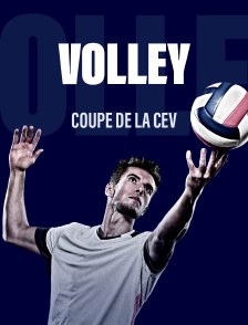 CEV Cup