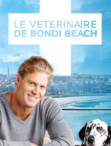 Le vétérinaire de Bondi Beach