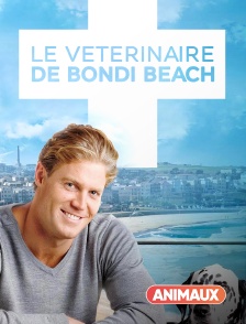 Le vétérinaire de Bondi Beach