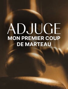 Adjugé... Mon premier coup de marteau