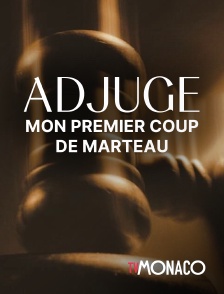 TV Monaco - Adjugé... Mon premier coup de marteau