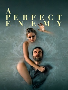 A perfect enemy