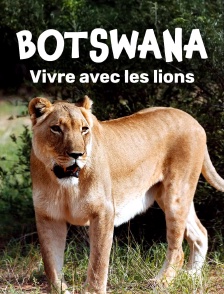 Botswana : Vivre avec les lions