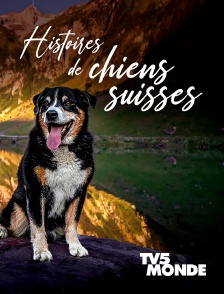 TV5MONDE - Histoires de chiens suisses