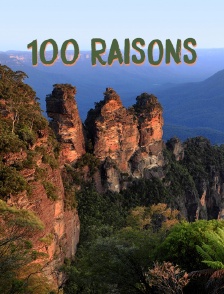 100 raisons