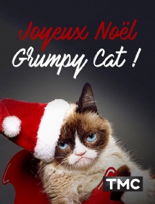 Joyeux Noël Grumpy Cat !