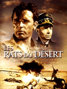 Les rats du désert