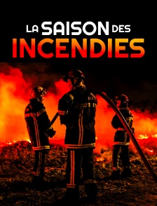 La saison des incendies