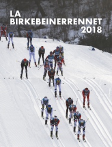 La Birkebeinerrennet 2018