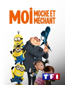 TF1 - Moi, moche et méchant