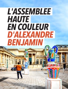 L'Assemblée haute en couleur d'Alexandre Benjamin Navet