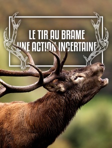 Le tir au brame, une action incertaine