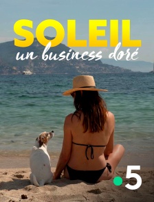 Soleil, un business doré