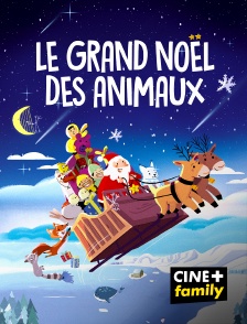 CINE+ Family - Le Grand Noël des animaux