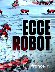 france.tv - Ecce Robots