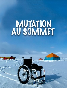 Mutation au sommet