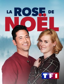 TF1 - La rose de Noël