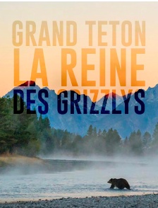 Grand Teton, la reine des Grizzlys
