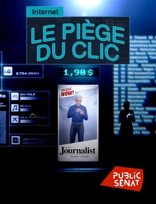 Public Sénat - Internet : le piège du clic
