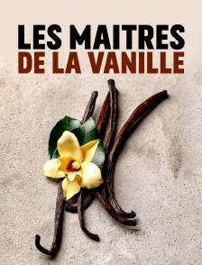 Les maîtres de la vanille