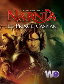 W9 - Le monde de Narnia, chapitre 2 : le prince Caspian