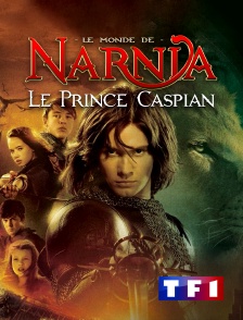 TF1 - Le monde de Narnia, chapitre 2 : le prince Caspian