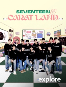 EXPLORE - Seventeen In Carat Land