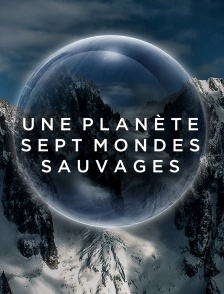 Une planète, sept mondes sauvages