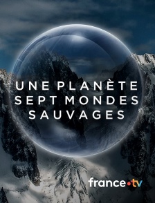 france.tv - Une planète, sept mondes sauvages en replay